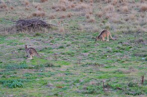 The Hallows Accommodation