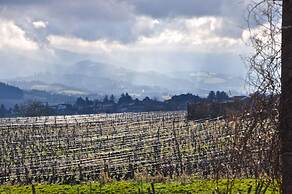 Le Clos du Cher en Beaujolais