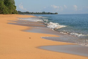Bluff Beach Retreat