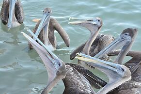 Casey Key Resort - Gulf Shores