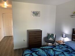 Brownsville Motel