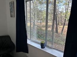 Brownsville Motel