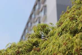 Kyou Bar Lounge & Inn