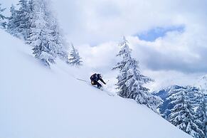 DAS EDELWEISS - Salzburg Mountain Resort