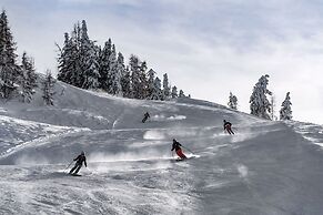 DAS EDELWEISS - Salzburg Mountain Resort