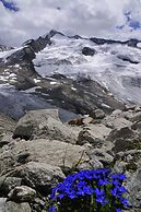 Appartementhaus Speckalm