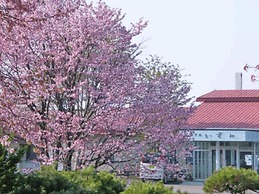 Kojohama Onsen Hotel Izumi