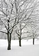 Kojohama Onsen Hotel Izumi