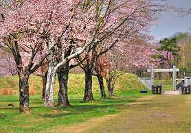 Kojohama Onsen Hotel Izumi