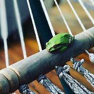 Sirena Serena B&B Retreat