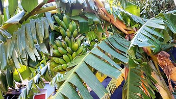 Sirena Serena B&B Retreat