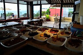 Hotel Alp Guesthouse