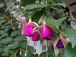 Hostel Casa Del Montañista