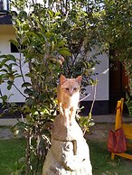 Hostel Casa Del Montañista