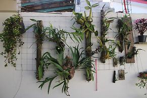 Hotel Boutique La Orquidea