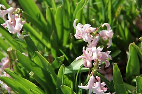 Serendib Bed & Breakfast