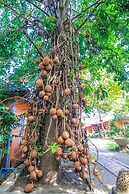 Pludhaya Resort & Spa
