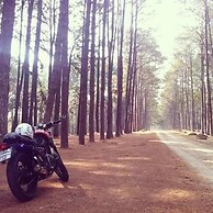 Above the Sea Guesthouse