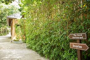 The Treasure Koh Madsum - Samui