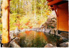 Okutone Onsen Hotel Sunbird