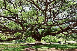 Warm Well Hostel Kanchanaburi