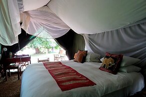 Croc Valley Camp