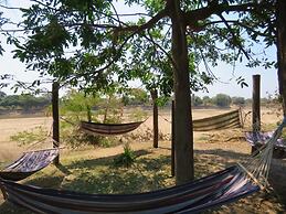 Croc Valley Camp