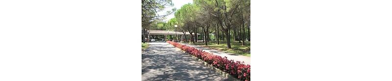 Belvedere Pineta Camping Village