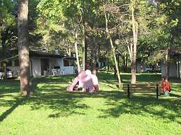 Belvedere Pineta Camping Village