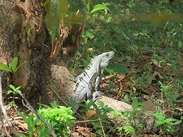 Rustico Santa Teresa