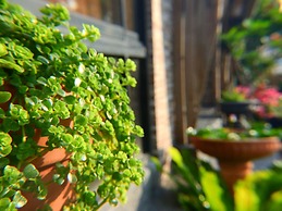 Anping Western-style House