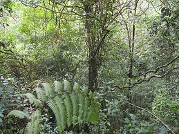 North Borneo Biostation Resort