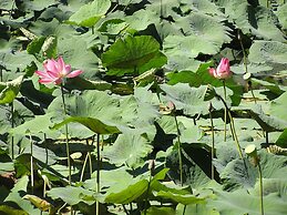 North Borneo Biostation Resort