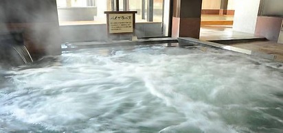 Nara Kenko Land Plaza Hotel