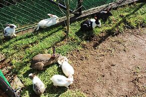 Senani Colonial Holiday Bungalow