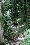 Frenchman's Cove Resort