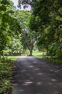 Frenchman's Cove Resort