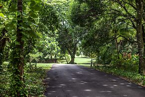 Frenchman's Cove Resort