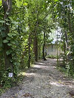 Frenchman's Cove Resort