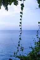 Frenchman's Cove Resort