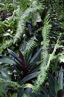 Frenchman's Cove Resort