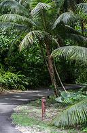 Frenchman's Cove Resort