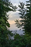 Frenchman's Cove Resort