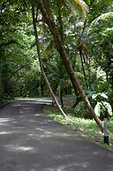 Frenchman's Cove Resort