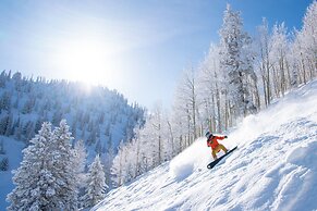 Fasching Haus Condominiums by Frias