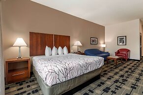 Best Western Plus Big Lake Inn