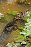 Hotel Eclypse de Mar Acqua Lodge