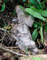 Hotel Eclypse de Mar Acqua Lodge