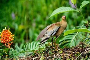 Hotel Eclypse de Mar Acqua Lodge