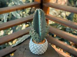 Hotel Eclypse de Mar Acqua Lodge